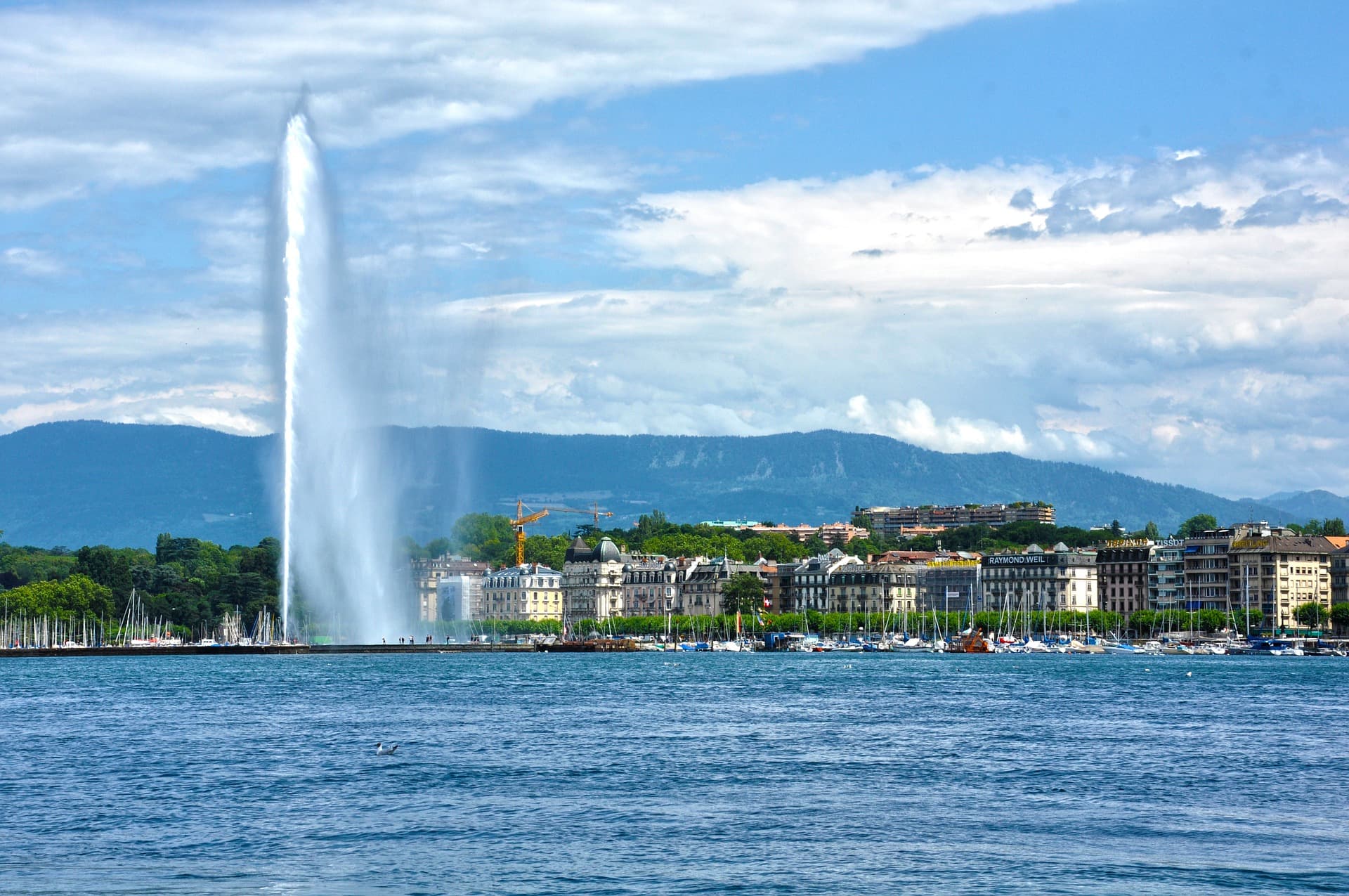 Geneva across the lake, the Jet d’Eau above the waterfront.